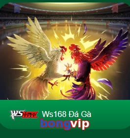 bongvip